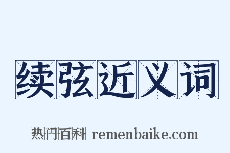 续弦近义词是什么意思的图片